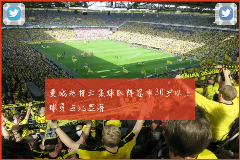 曼城老将云集球队阵容中30岁以上球员占比显著