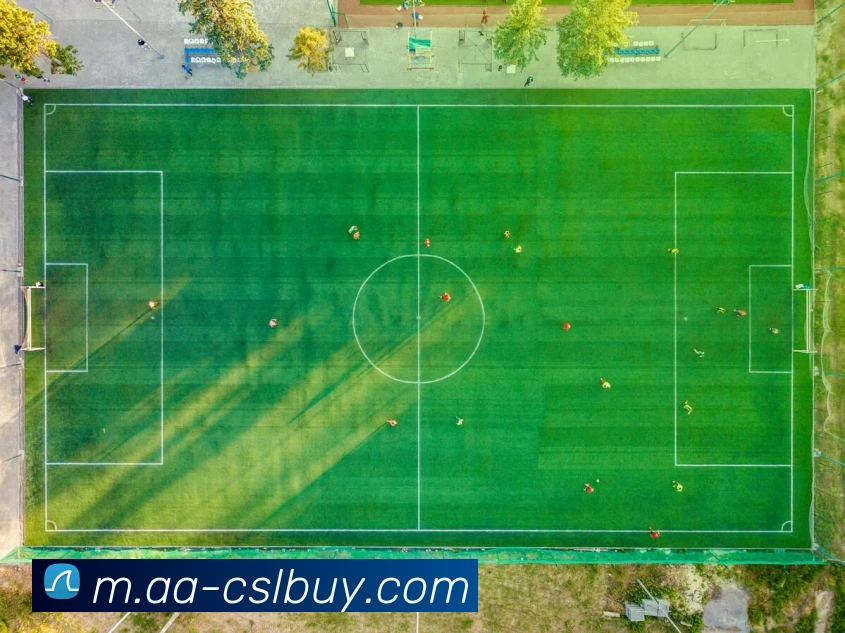 App Interface Preview