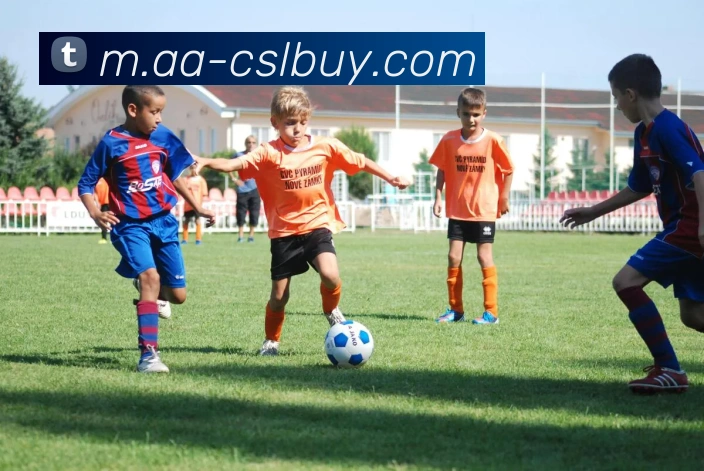 中超买球官网APP 封面图